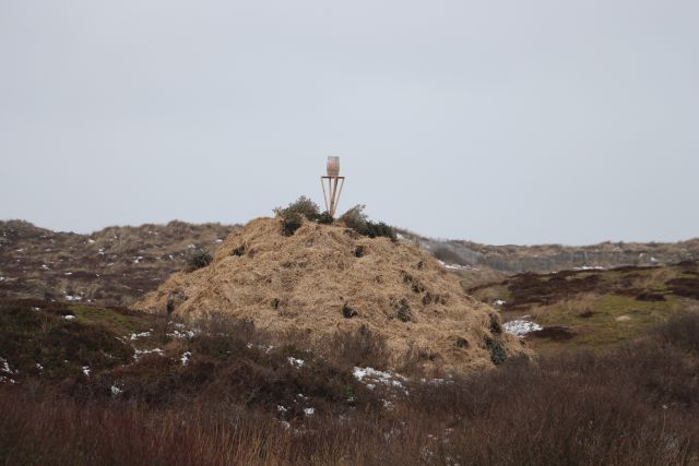 biike westerland 2026